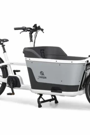 CARQON CAR.CRUISE ENV SNOWL.1X545Wh BES3 - Veilige betaling