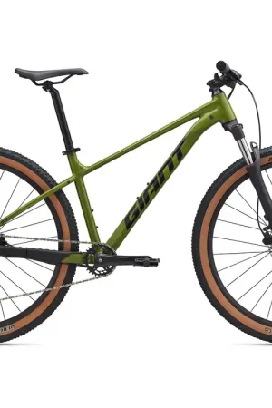 Zolang de voorraad strekt - Giant Talon 2 2025 Dried Matcha