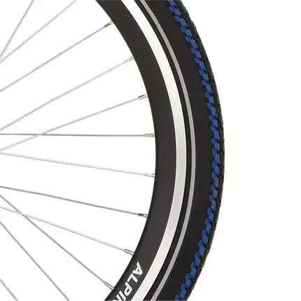 Aanrader | ALPINA Alpina velg 26 HL20DC black matt