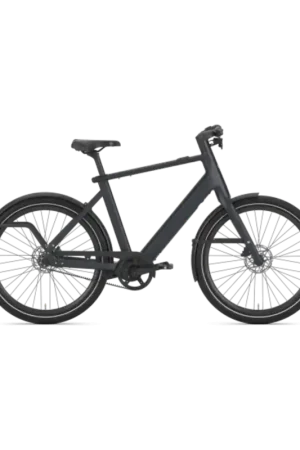 Aanbieding - Gazelle Cayo C1 heren